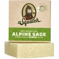 Dr. Squatch Alpine Sage Scent Bar Soap 5 oz WH-BAR-ALP-01